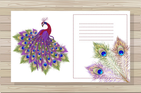 Template greeting card with peacock and feathers on wooden background. Vector illustration.のイラスト素材