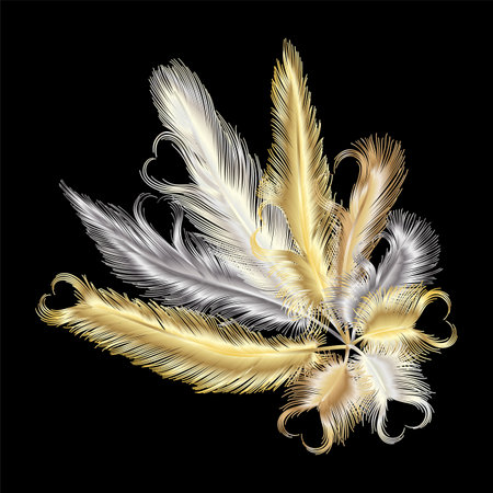 Vector set of gold and silver feathers. Isolated on black background.のイラスト素材