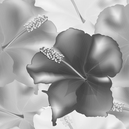 Hibiscus flower black and white background. 3d illustrationのイラスト素材