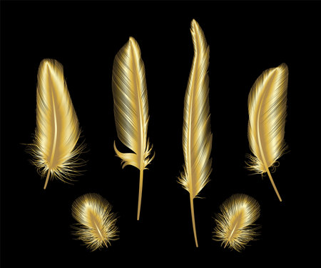 Set of golden feathers. Isolated on black background. Vector illustration.のイラスト素材
