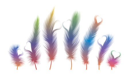 Set of multicolored feathers isolated on white background. Vector illustration.のイラスト素材