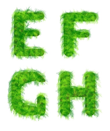  illustration of letters of the alphabet out of the grass on a white backgroundの写真素材