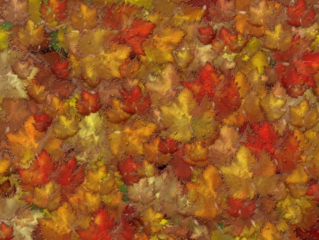Background with autumn leaves and raindrops  の写真素材