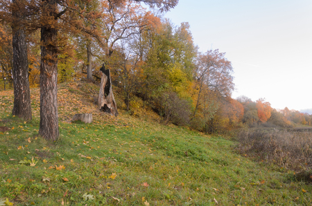Beautiful scene in autumn park. Autumn colorsの写真素材