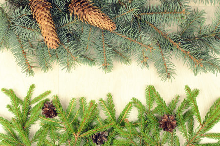 branches of two  varieties spruce and fir cones on a wooden background