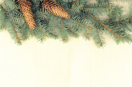 branches of blue spruce and cones on a wooden backgroundの写真素材