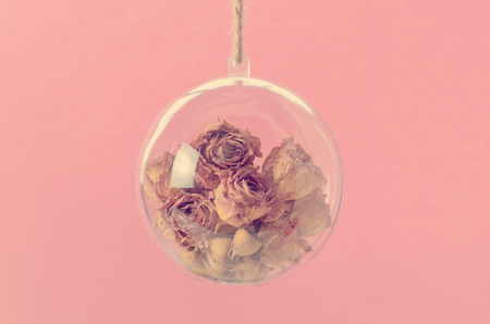 Transparent ball with a dried roses inside on pink backgroundの写真素材