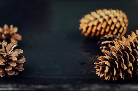 pine and spruce cones on dark surfaceの写真素材