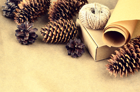 Natural items collection for handcraft (paper, pine and spruce cones, jute, cardboard box)の写真素材