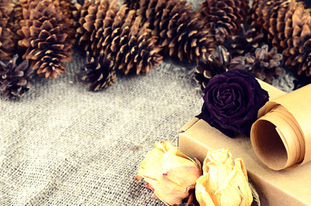 Natural items collection for handcraft (paper, pine and spruce cones, cardboard box, dried flowers)の写真素材