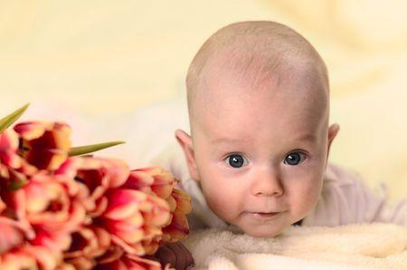 Little boy lying on stomach near a bouquet of tulips and looking at cameraの写真素材