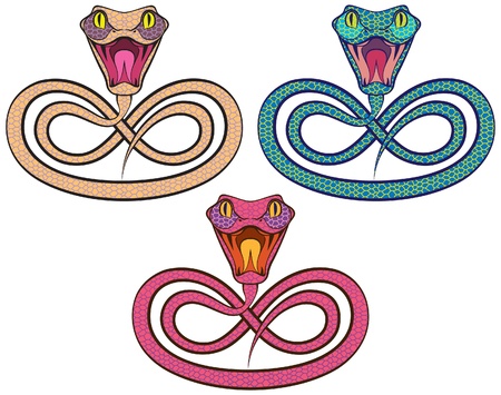 Symbol of the year - a snake. color image.のイラスト素材