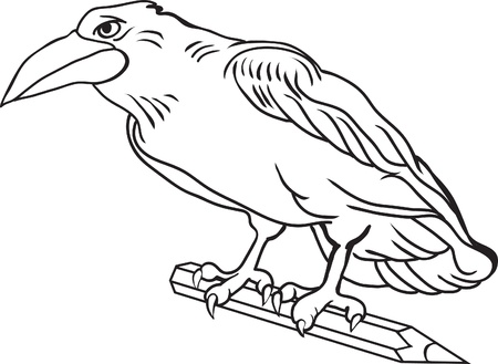 contour drawing crow  Bird holds a pencil のイラスト素材