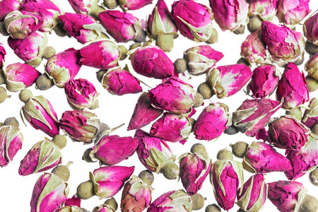 rosebuds isolated on white backgroundの写真素材
