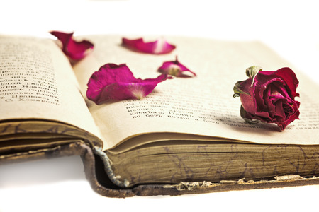 Dried roses  with petals on the old  russian bookの写真素材