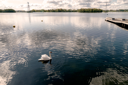 Lake view with beautiful clouds  in Almere, Netherlands, Hollandの写真素材