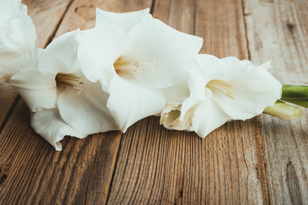 white gladiolus flowers  on a wooden  background with space for textの写真素材