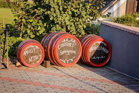 Wine barrels in Hungary