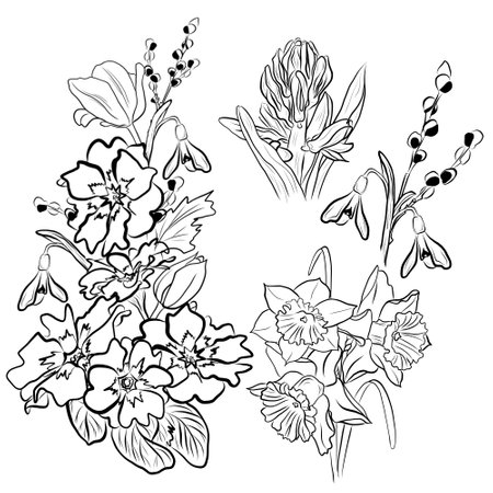 drawing bouquets of spring flowersの写真素材