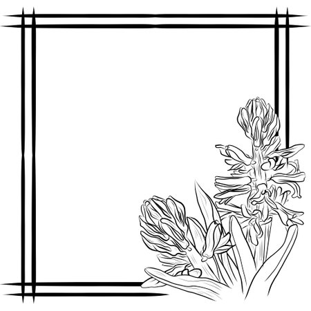 hyacinth drawing frame with spring flowersの写真素材
