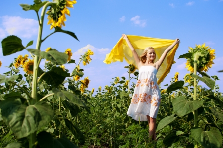 young beautiful woman on field in summerの写真素材