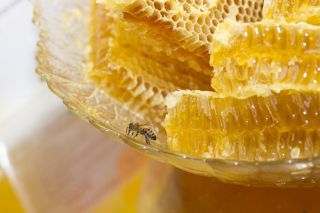 the wasp sits on the honey comb on the plateの写真素材
