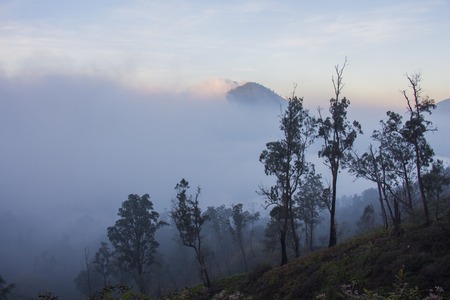 View to silhouette of forest over the clouds in the mountains of Kawah Ijen, Java, Indonesiaの写真素材