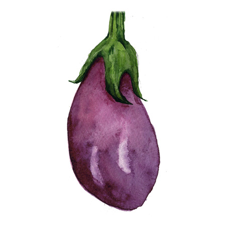 Watercolor hand drawn fruit icon Isolated on whiteの写真素材