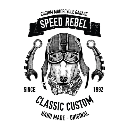 Biker quote with dog for garage, service, t-shirt, spare parts Vector hand drawn imageのイラスト素材