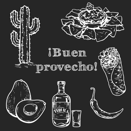 Icons of mexican food and culture Hand drawn imagesのイラスト素材