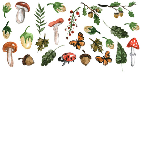 Forest plants, trees, leaves, mushroomsの写真素材