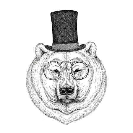 Cool fashionable polar bear Image for tattoo,  , emblem, badge designの写真素材