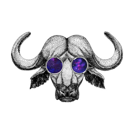 Buffalo wearing hipster glasses Image of bison, bull, buffalo for tattoo,  , emblem, badge designの写真素材
