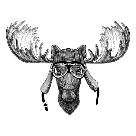 Moose, elk Hand drawn image of animal wearing motorcycle helmet for t-shirt, tattoo, emblem, badge,  , patchの写真素材
