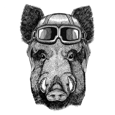 Aper, boar, hog, hog, wild boar wearing leather helmet Aviator, biker, motorcycle Hand drawn illustration for tattoo, emblem, badge, logo, patchの写真素材