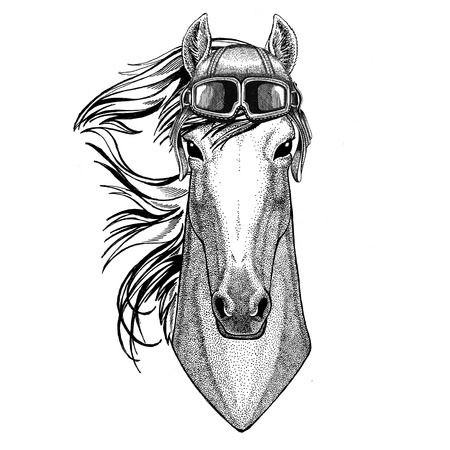 Horse, hoss, knight, steed, courser wearing leather helmet Aviator, biker, motorcycle Hand drawn illustration for tattoo, emblem, badge, logo, patchの写真素材
