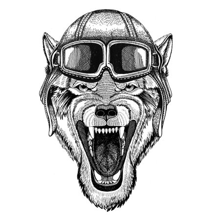 Wolf Dog Wild animal Aviator, biker, motorcycle Hand drawn illustration for tattoo, emblem, badge,...