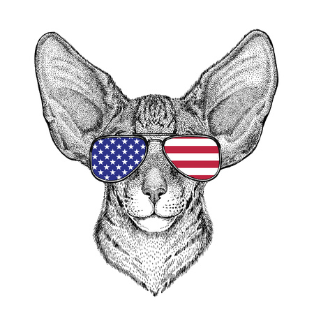 Wild animal wearing glasses with USA flag United states of America flag Zoo animalの写真素材