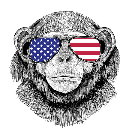 Wild animal wearing glasses with USA flag United states of America flag Zoo animalの写真素材