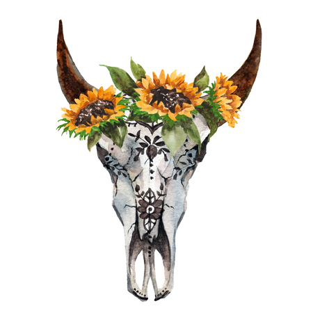 Watercolor isolated bulls head with flowers and feathers on white background. Boho style. Skull for wrapping, wallpaper, t-shirの写真素材