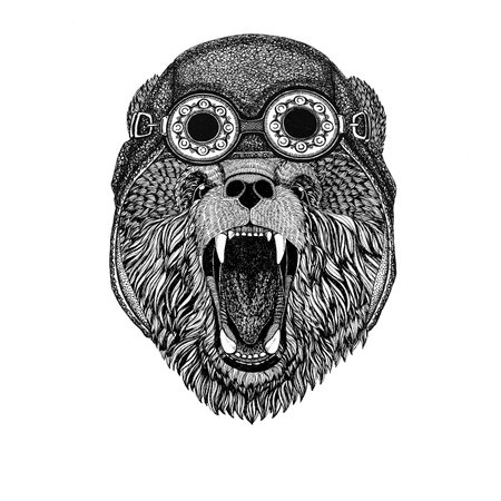 Brown bear Russian bear wearing aviator hat Motorcycle hat with glasses for biker Illustration for...