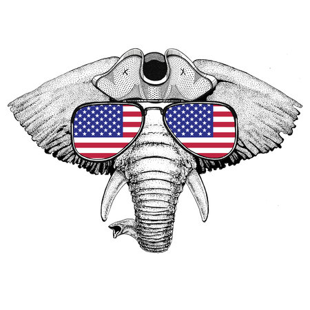 African or indian Elephant wearing pirate hat Cocked hat, tricorn Sailor, seaman, mariner, or seafarerの写真素材