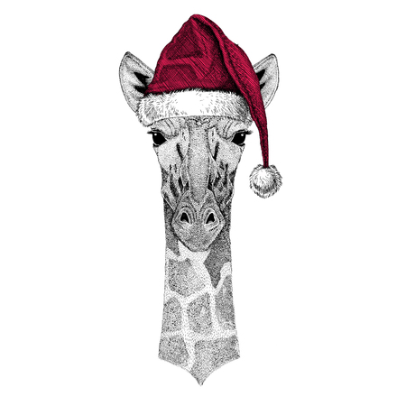 Camelopard, giraffe Christmas illustration Wild animal wearing christmas santa claus hat Red winter hat Holiday picture Happy new yearの写真素材