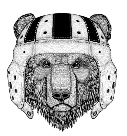 Brown bear Russian bear Wild animal wearing rugby helmet Sport illustrationの写真素材