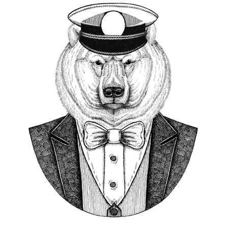Polar bear, white bear Animal wearing jacket with bow-tie and capitans peaked cap Elegant sailor, navy, capitan, pirate. Image for tattoo, t-shirt, emblem, badge, logo, patchesの写真素材