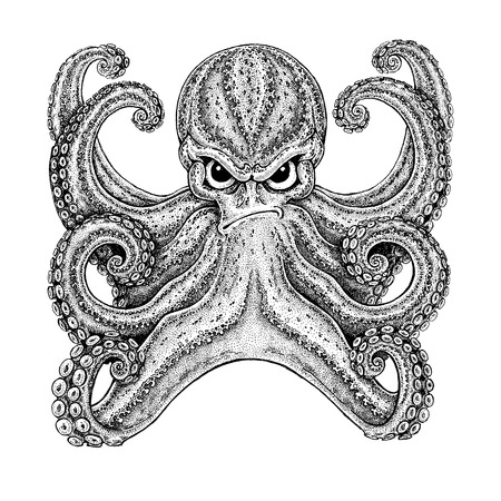 Octopus. Vintage cartoon characterの写真素材