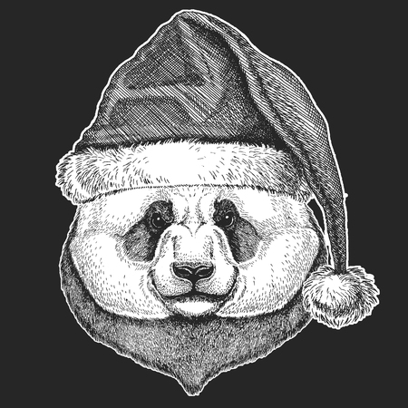 Bear, bamboo bear Christmas, new year celebration. Santa Claus winter hat. Xmas headdress.のイラスト素材