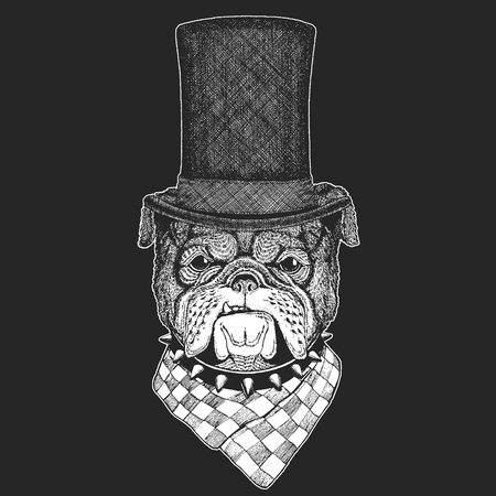 Dog, bulldog. Top hat, cylinder. Hipster animal, gentleman. Classic headdress. Print for children t-shirt, kids clothing.のイラスト素材
