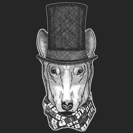 Dog Top hat, cylinder. Hipster animal, gentleman. Classic headdress. Print for children t-shirt, kids clothing.のイラスト素材