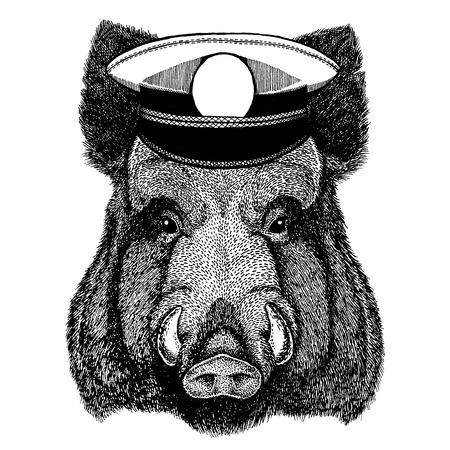 Wild animal wearing capitan hatのイラスト素材